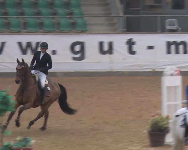 Reitturnier Kreuth 2018