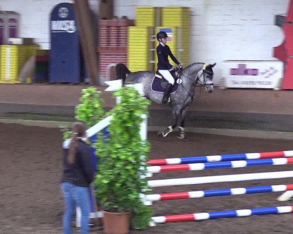 Reitturnier Hamburg-Hummelsbüttel 2018