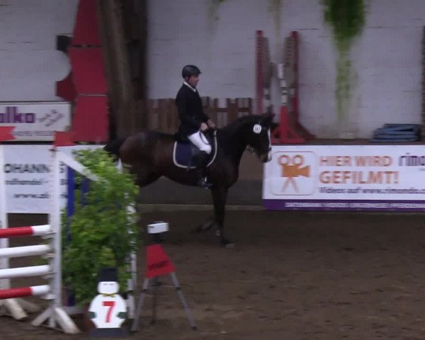Reitturnier Hamburg-Hummelsbüttel 2018