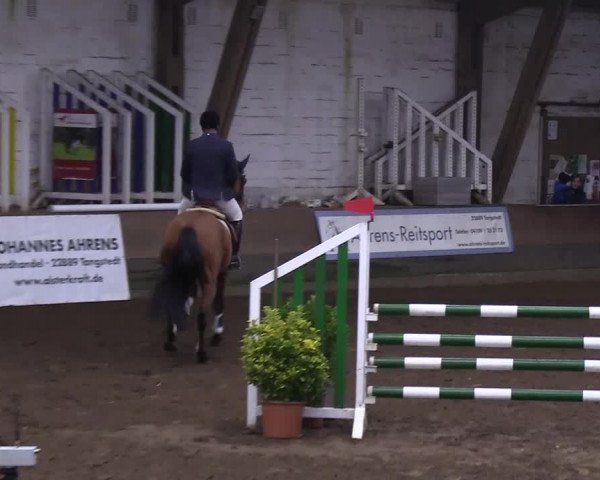 Reitturnier Hamburg-Hummelsbüttel 2018
