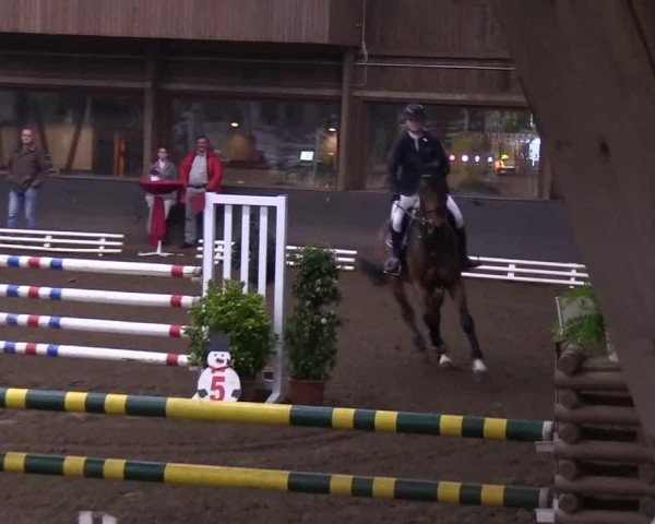 Reitturnier Hamburg-Hummelsbüttel 2018