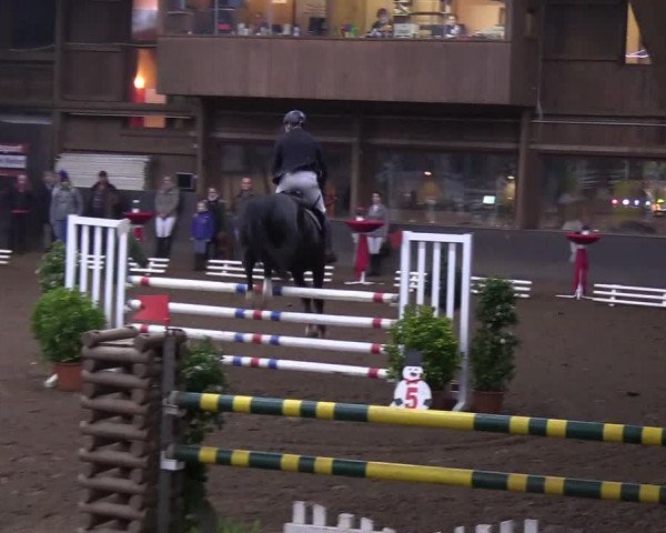 Reitturnier Hamburg-Hummelsbüttel 2018