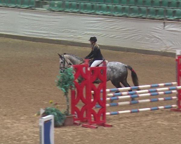 Reitturnier Kreuth 2018