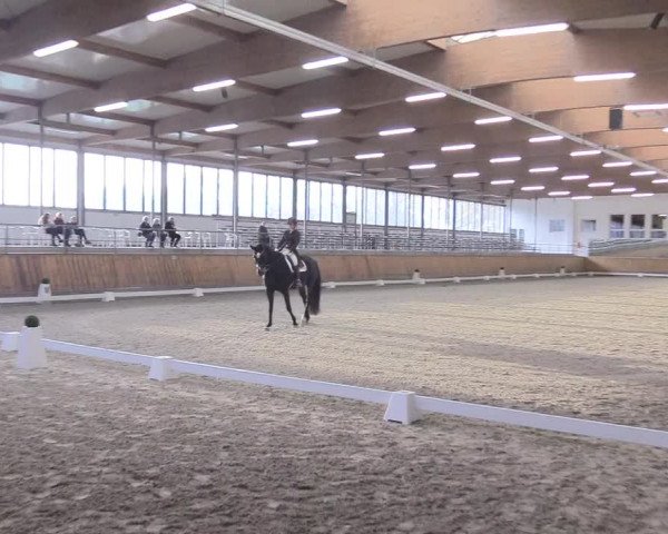 Reitturnier Freudenberg 2018