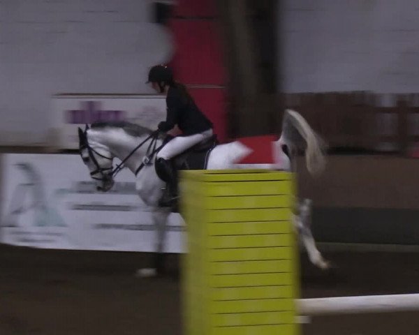 Reitturnier Hamburg-Hummelsbüttel 2018