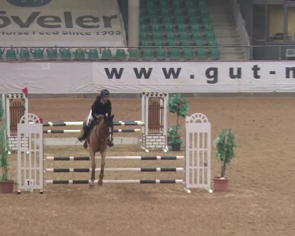 Reitturnier Kreuth 2018
