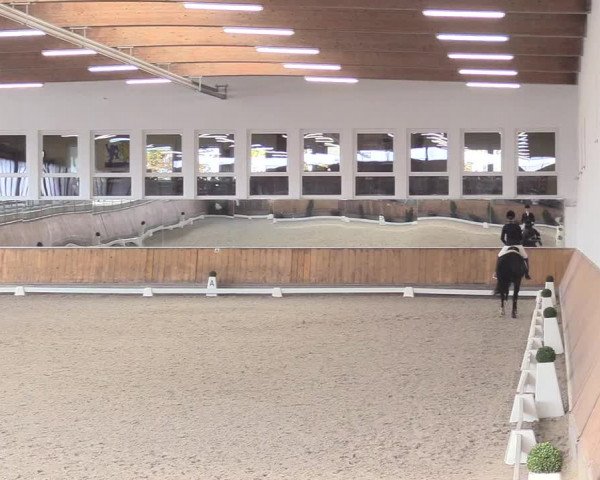 Reitturnier Freudenberg 2018
