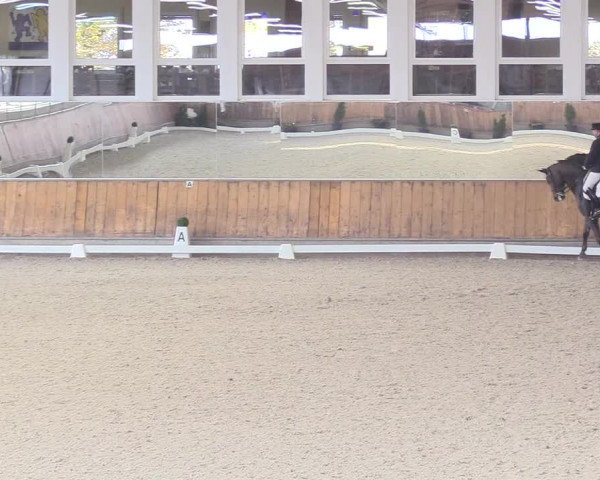 Reitturnier Freudenberg 2018
