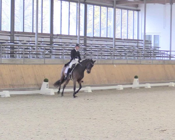 Reitturnier Freudenberg 2018