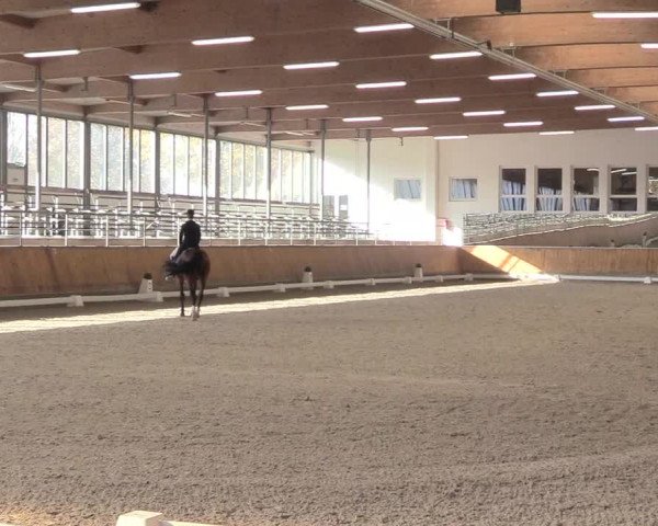 Reitturnier Freudenberg 2018