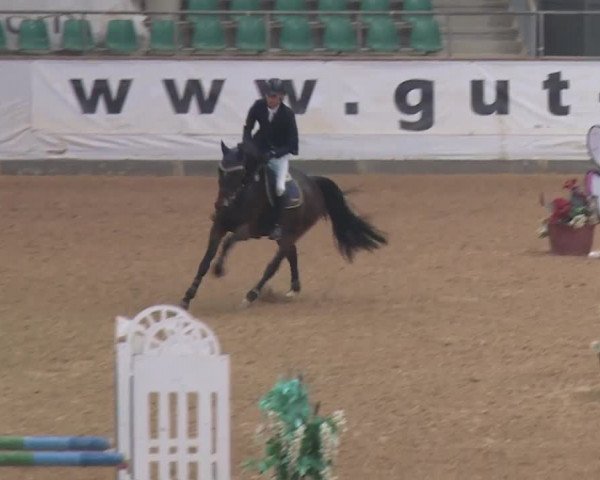 Reitturnier Kreuth 2018