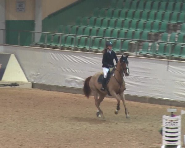 Reitturnier Kreuth 2018