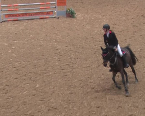 Reitturnier Kreuth 2018