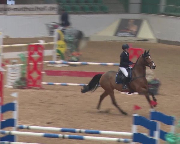 Reitturnier Kreuth 2018
