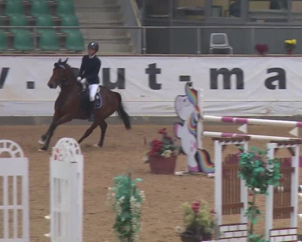 Reitturnier Kreuth 2018