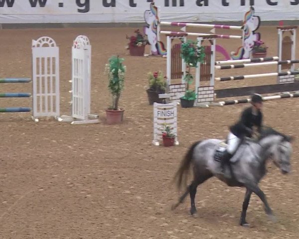 Reitturnier Kreuth 2018