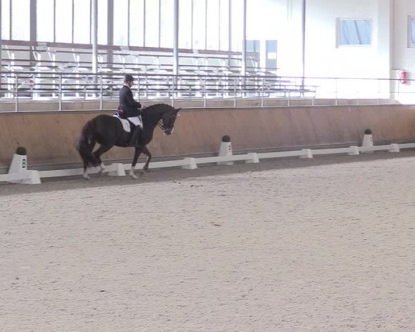 Reitturnier Freudenberg 2018