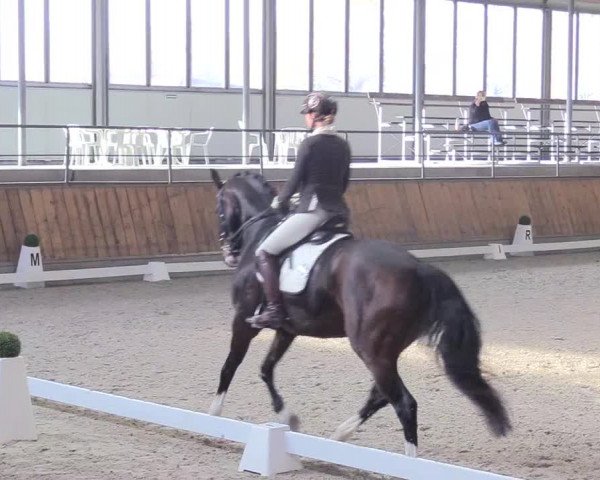 Reitturnier Freudenberg 2018