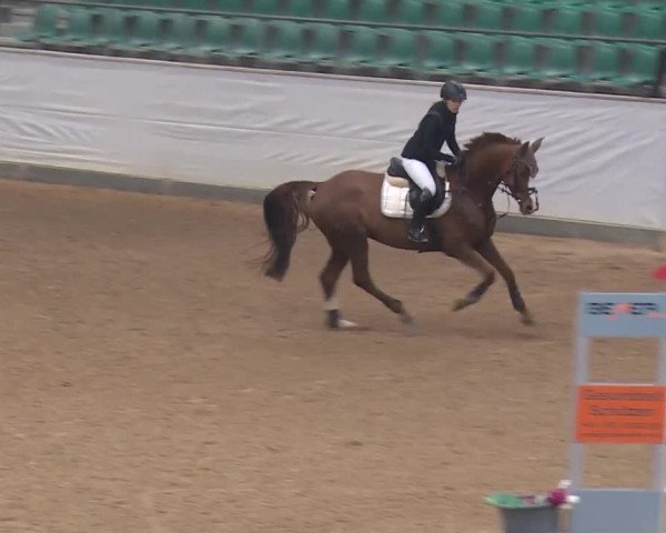 Reitturnier Kreuth 2018