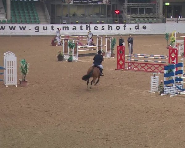 Reitturnier Kreuth 2018