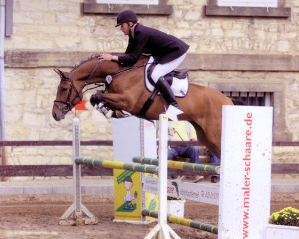 broodmare Sweet Salü PJ (Hanoverian, 2004, from Silvio I)