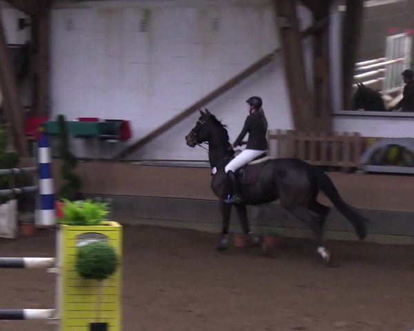 Reitturnier Hamburg-Hummelsbüttel 2018
