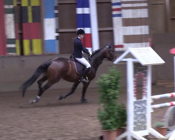 Reitturnier Hamburg-Hummelsbüttel 2018