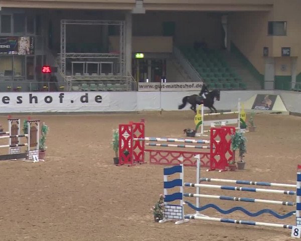 Reitturnier Kreuth 2018