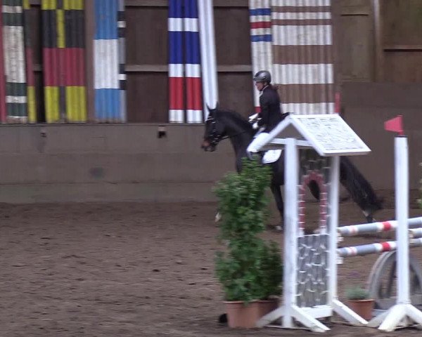 Reitturnier Hamburg-Hummelsbüttel 2018
