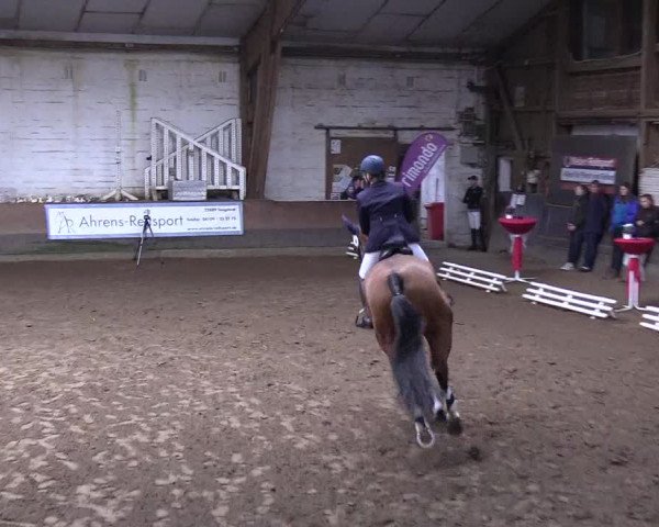 Reitturnier Hamburg-Hummelsbüttel 2018