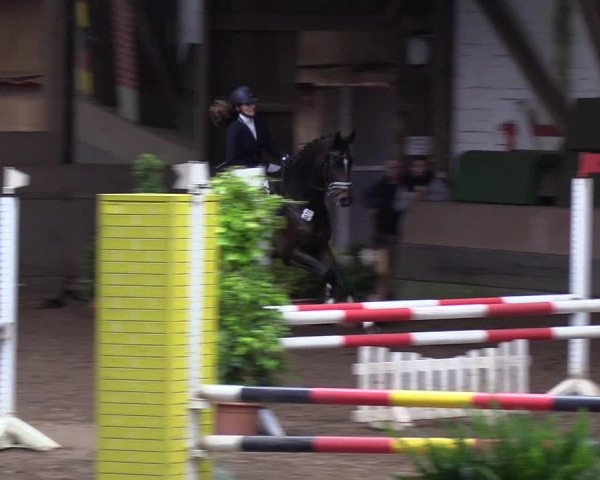 Reitturnier Hamburg-Hummelsbüttel 2018