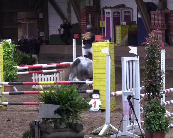 Reitturnier Hamburg-Hummelsbüttel 2018