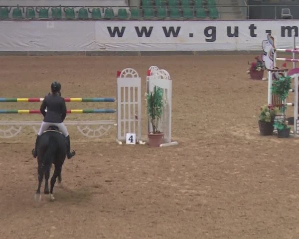 Reitturnier Kreuth 2018
