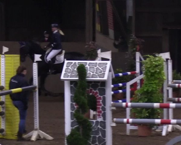 Reitturnier Hamburg-Hummelsbüttel 2018