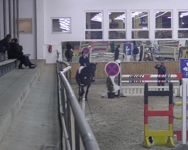 Reitturnier Freudenberg 2018