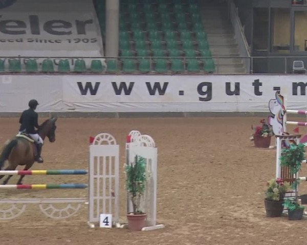 Reitturnier Kreuth 2018