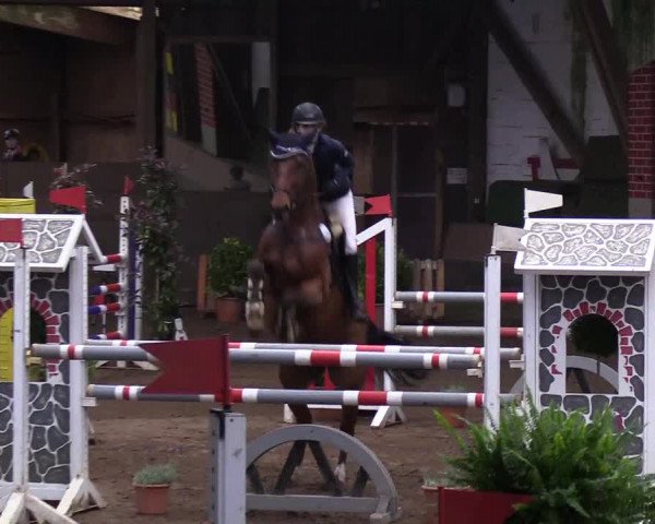 Reitturnier Hamburg-Hummelsbüttel 2018
