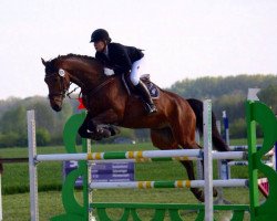jumper Quentino 23 (KWPN (Royal Dutch Sporthorse), 2010, from Lansdowne)