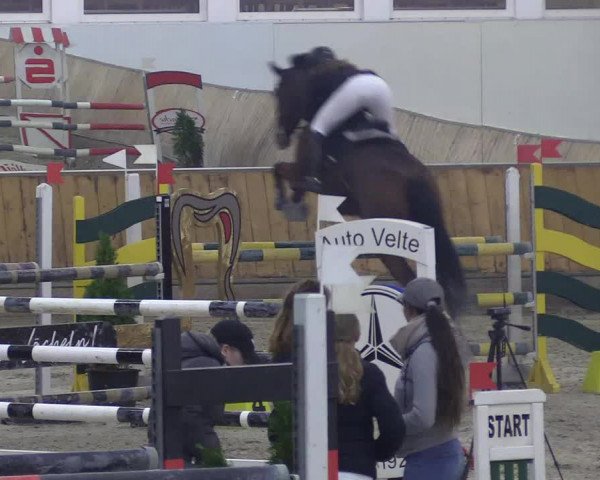 Reitturnier Freudenberg 2018