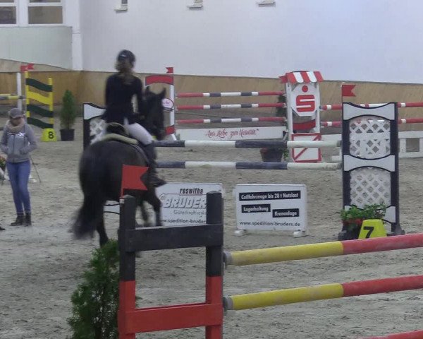 Reitturnier Freudenberg 2018