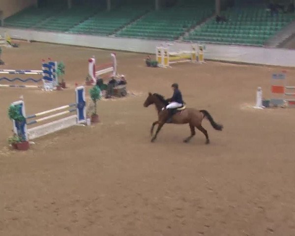 Reitturnier Kreuth 2018
