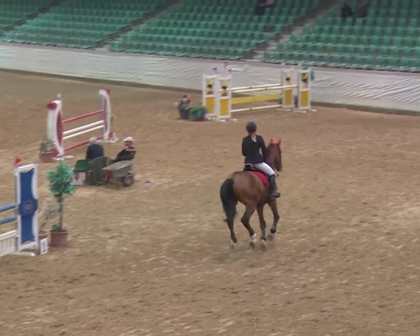Reitturnier Kreuth 2018