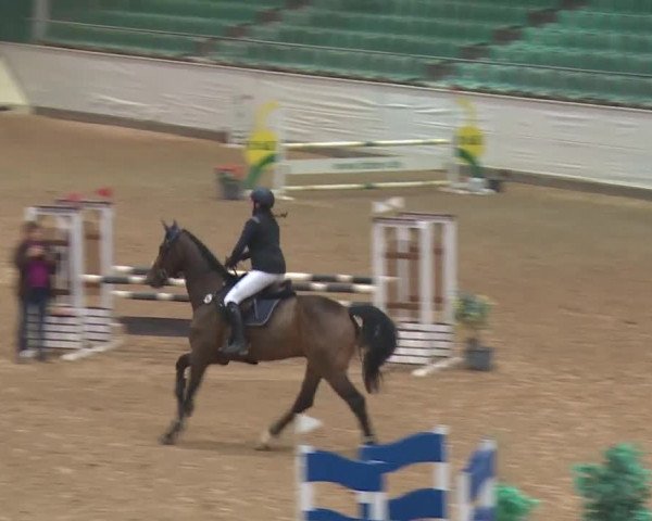 Reitturnier Kreuth 2018