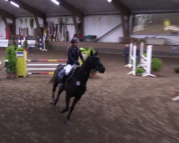 Reitturnier Hamburg-Hummelsbüttel 2018