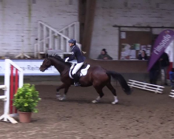 Reitturnier Hamburg-Hummelsbüttel 2018