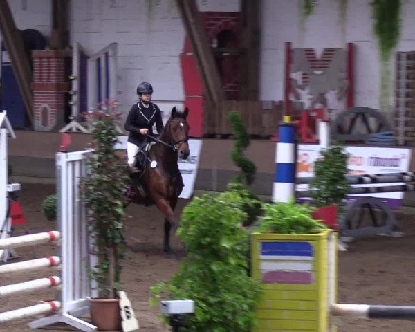 Reitturnier Hamburg-Hummelsbüttel 2018
