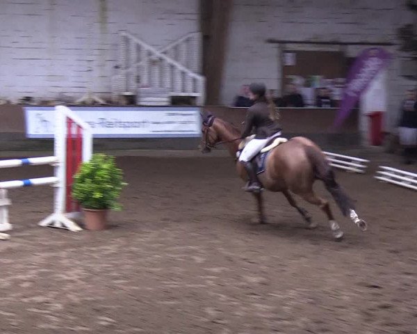 Reitturnier Hamburg-Hummelsbüttel 2018