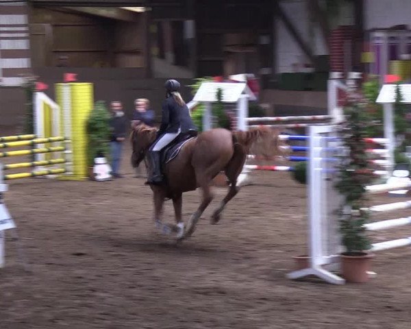 Reitturnier Hamburg-Hummelsbüttel 2018