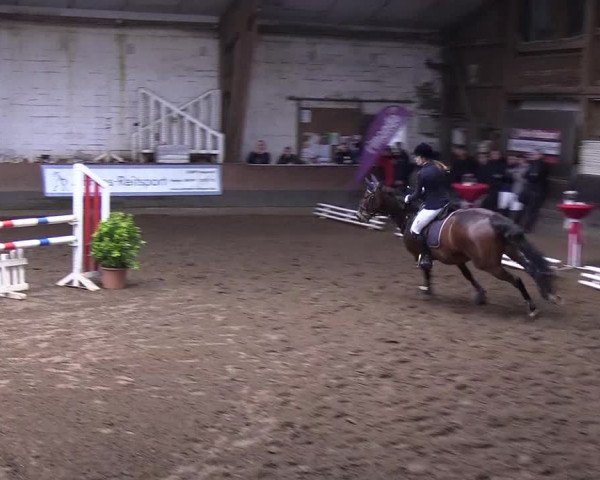 Reitturnier Hamburg-Hummelsbüttel 2018