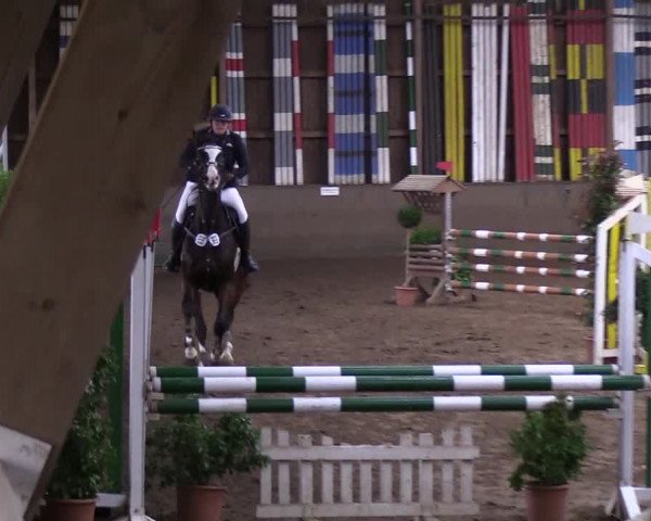Reitturnier Hamburg-Hummelsbüttel 2018